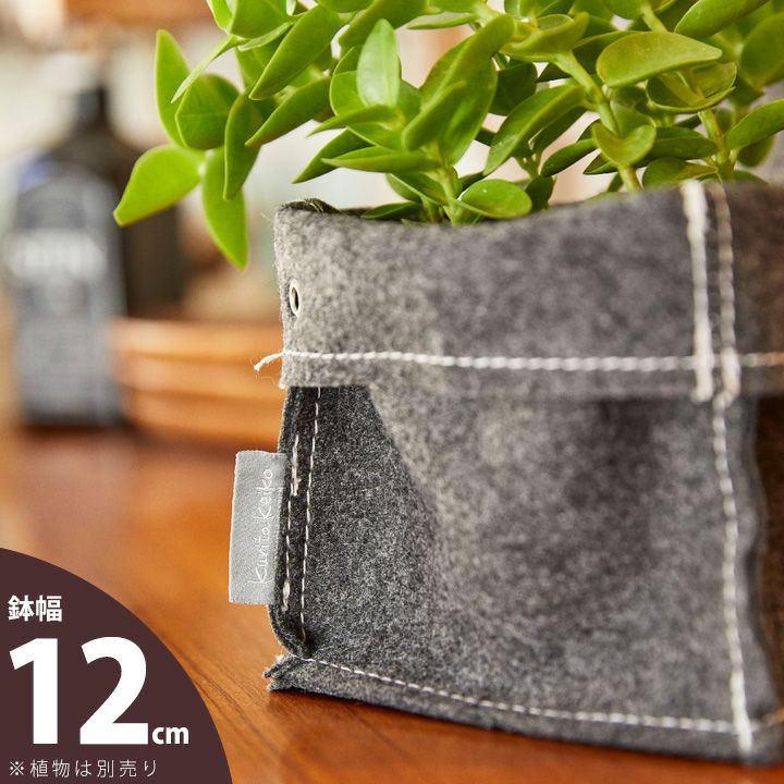 簡単、おしゃれ。不織布製の植木鉢カバー｜3～3.5号の観葉植物に。受皿