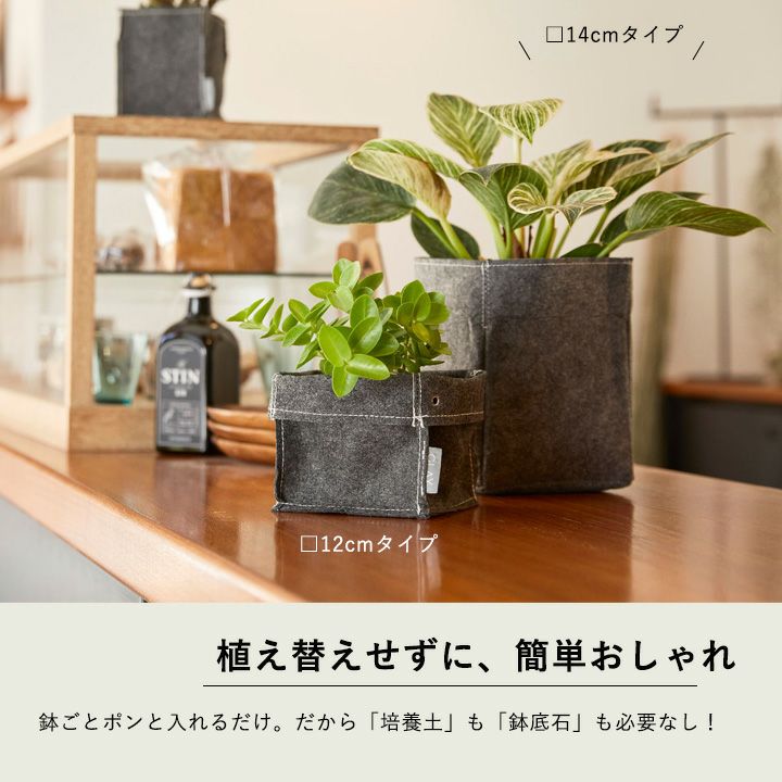 簡単、おしゃれ。不織布製の植木鉢カバー｜3～3.5号の観葉植物に。受皿