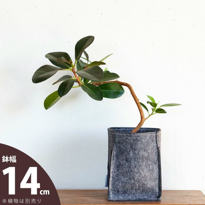 4号鉢～5号鉢サイズ｜植木鉢・鉢カバーでおしゃれな観葉植物に！