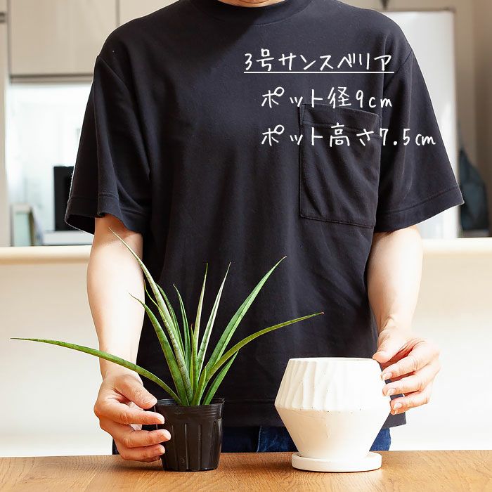 シンプルだけど、形がおもしろい！菱形＆マットな質感の陶器鉢