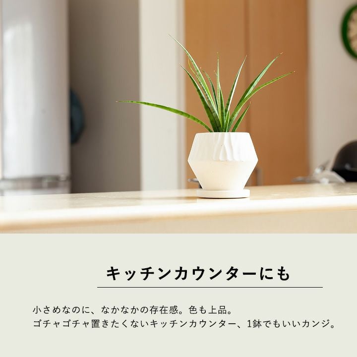シンプルだけど、形がおもしろい！菱形＆マットな質感の陶器鉢