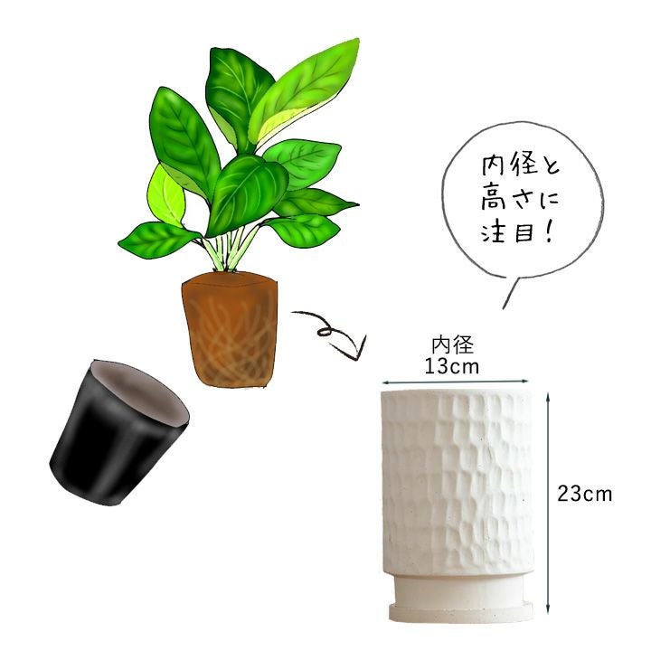 5号の観葉植物に高さを出す、おしゃれな縦長陶器鉢｜マット白黒