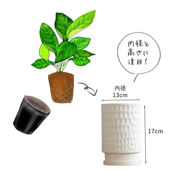 パキラも似合うかも！高さを出して見栄えUPおしゃれ縦長陶器鉢
