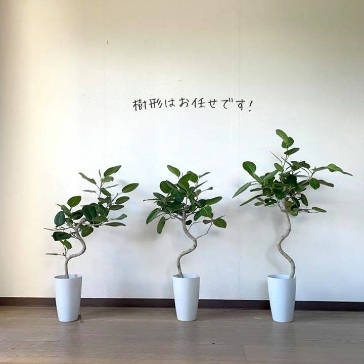 000000003587-02.jpg?size=l&w=