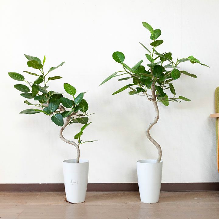 000000003587-03.jpg?size=l&w=