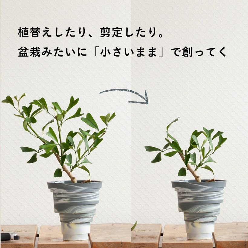 000000003597-22.jpg?size=l&w=
