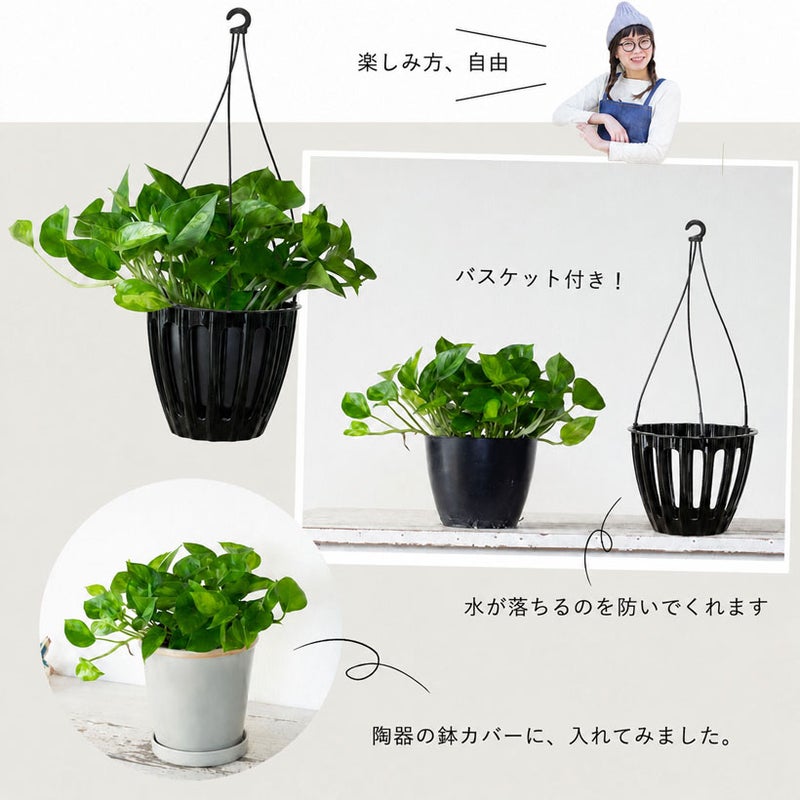 バスケットは取り外せます