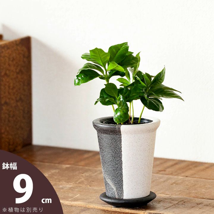 形や素材が個性的な植木鉢｜[公式] e-花屋さん 本店
