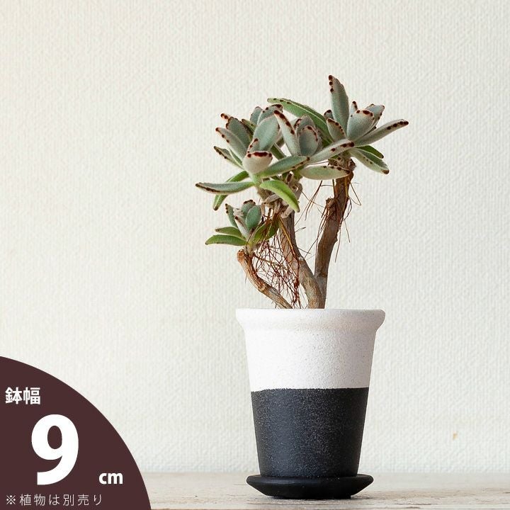 白黒モダンなおしゃれ植木鉢｜2～2.5号サイズ植物の植替えに適応
