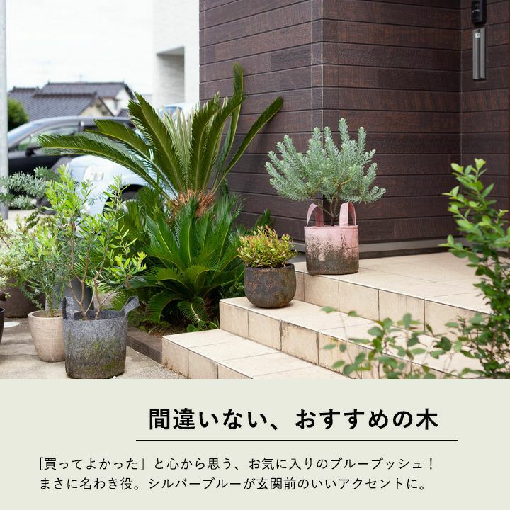 000000003818-07.jpg?size=l&w=