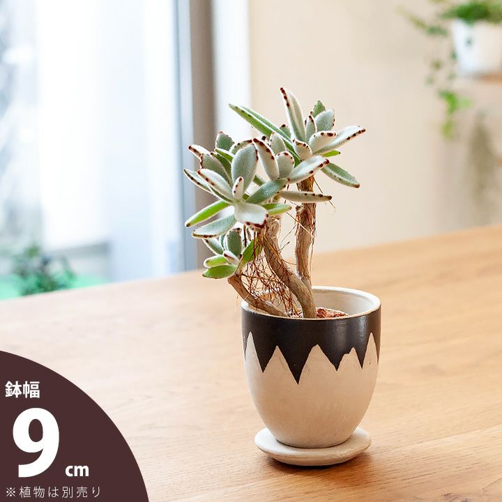 形や素材が個性的な植木鉢｜[公式] e-花屋さん 本店