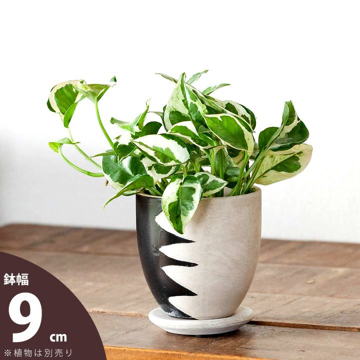 異国風、ハンドメイドPOT：縦ギザtype（9cm） | [公式]e-花屋さん
