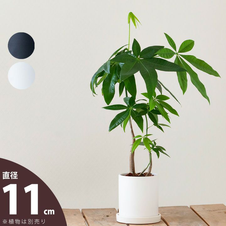 観葉植物の植え替えに！3～4号サイズに適応。シンプルモダン陶器鉢