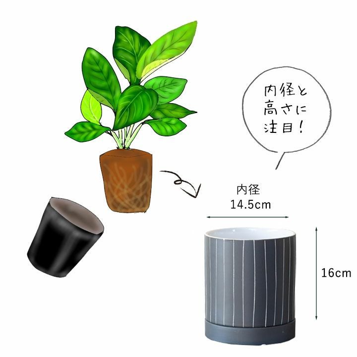 観葉植物の植え替えに！4～5号サイズに適応、色が綺麗な陶器鉢e-花屋さん