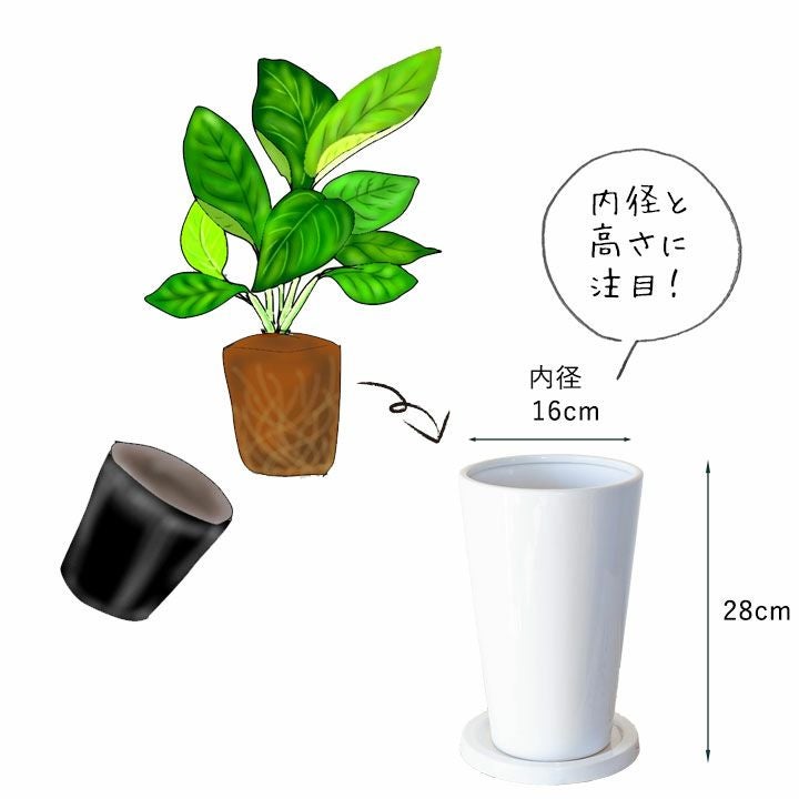 縦に長い、白の陶器鉢｜5～6号の観葉植物の植え替えに[公式] e-花屋さん