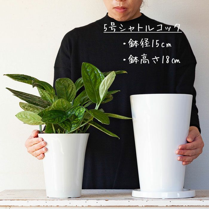 縦に長い、白の陶器鉢｜5～6号の観葉植物の植え替えに[公式] e-花屋さん