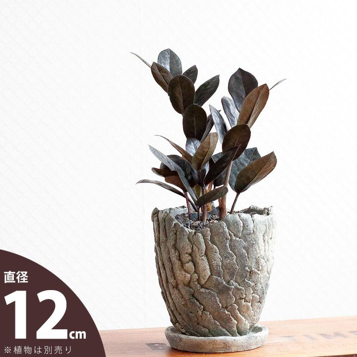 ②植木鉢。 楽天市場】天然石シート タイル 鉢置き 直径23cm 1枚/2枚/4枚/10枚 STR