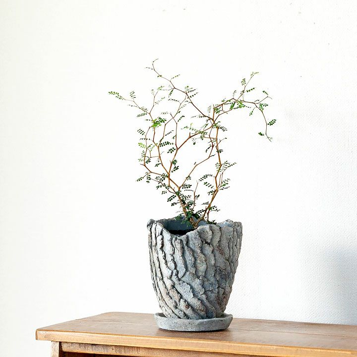 石で作ったような質感｜3～4号サイズの植物向け植木鉢[公式] e-花屋さん