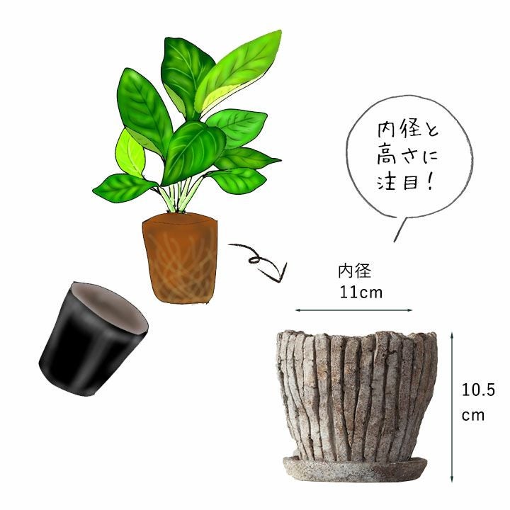 化粧鉢｜陶器よりデザイン豊富なセメント製。鉢植えがおしゃれに