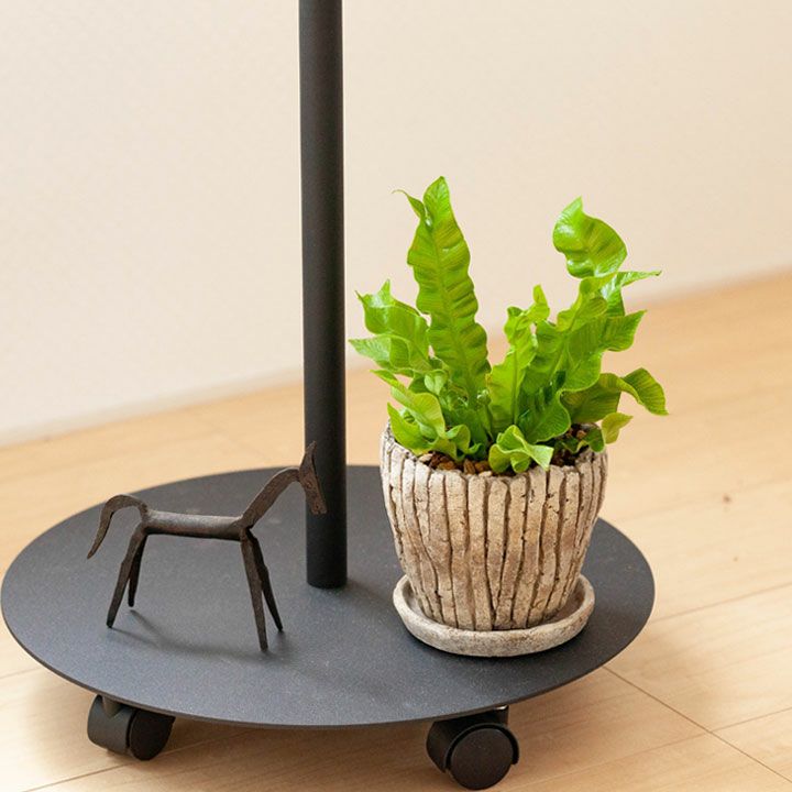 化粧鉢 化粧鉢｜陶器よりデザイン豊富なセメント製。鉢植えがおしゃれに