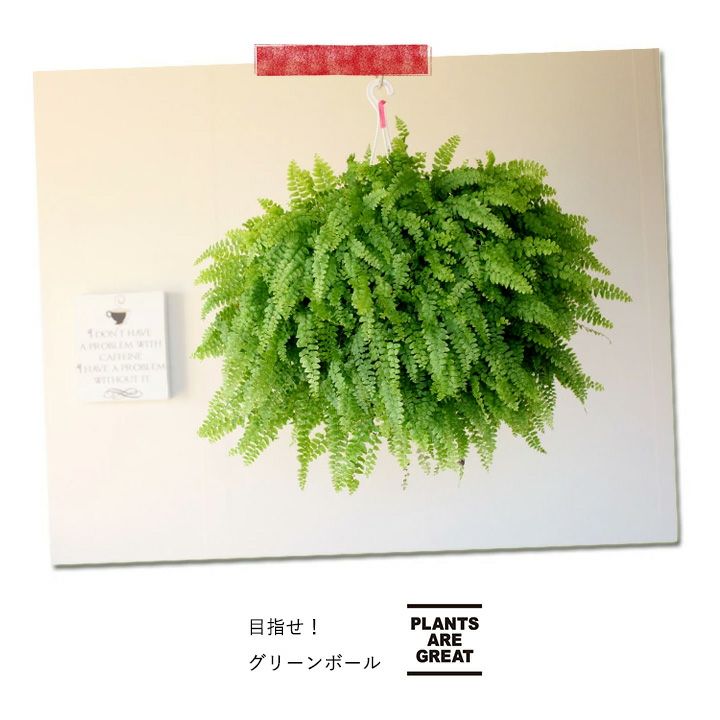 000000004398-09.jpg?size=l&w=