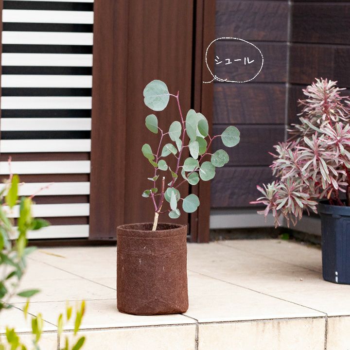 000000004469-02.jpg?size=l&w=