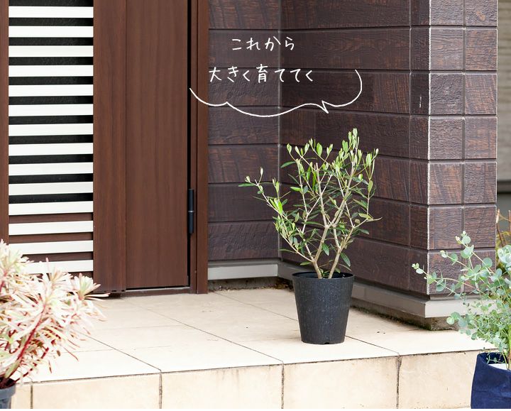 000000004555-04.jpg?size=l&w=