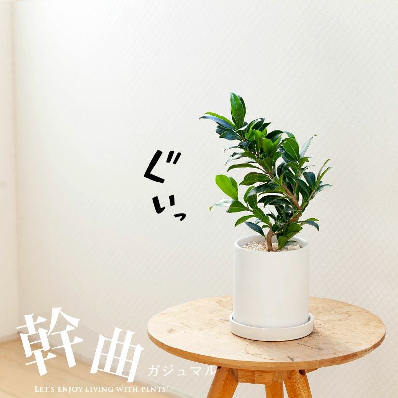 000000004595-01.jpg?size=m&w=