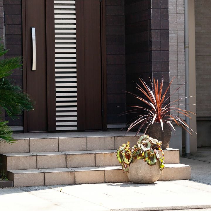コルジリネレッドスター屋外冬越し｜鉢植え、暖地は庭（地植え）