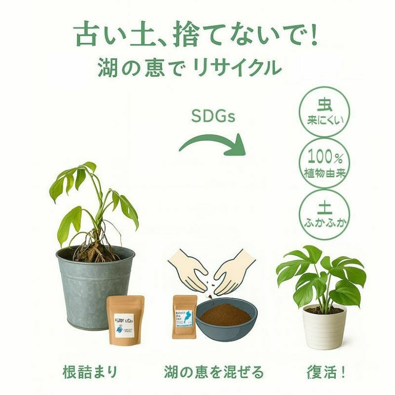 湖の恵（このめぐみ）室内向けオーガニック肥料350g[公式]販売店