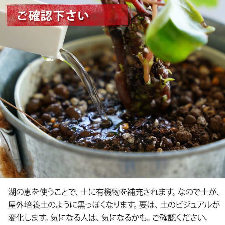 おすすめ有機肥料｜完全オーガニック。化成肥料の代わり、併用可