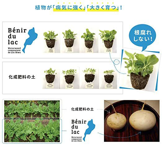 湖の恵｜オリーブ農家も認めた植物を元気にする有機肥料｜e-花屋