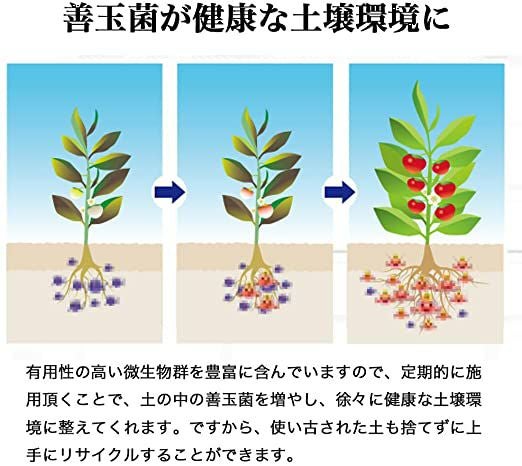 湖の恵｜オリーブ農家も認めた植物を元気にする有機肥料｜e-花屋