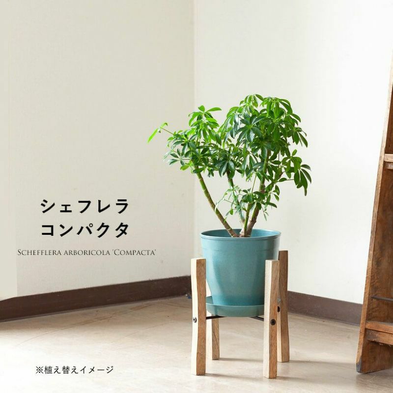 000000004866-02.jpg?size=l&w=