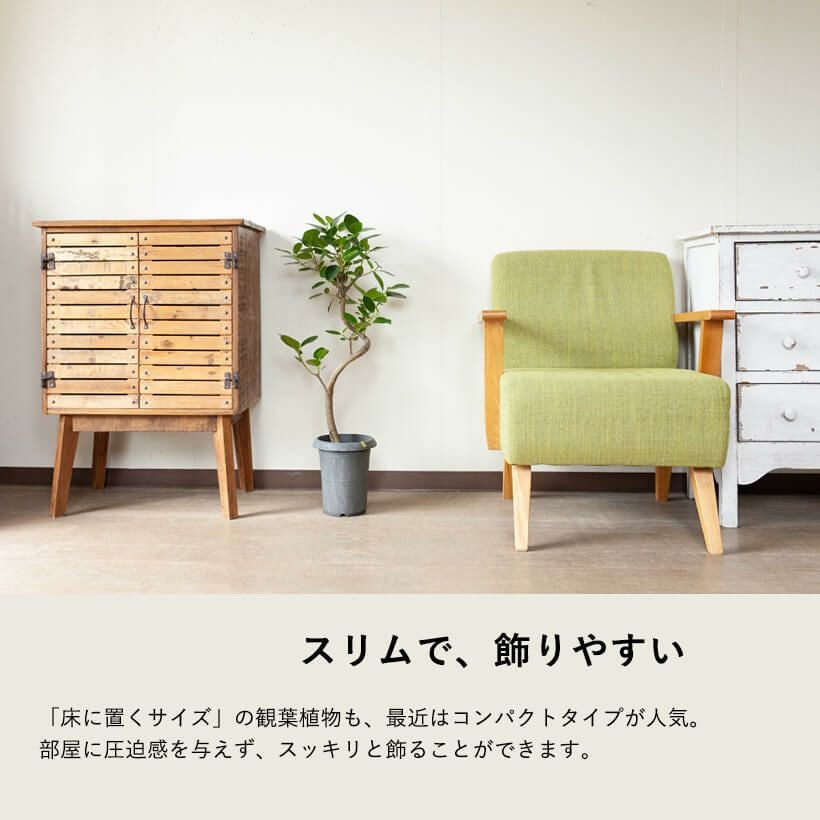 フランスゴム幹曲がり同梱不可商品です | [公式]e-花屋さん