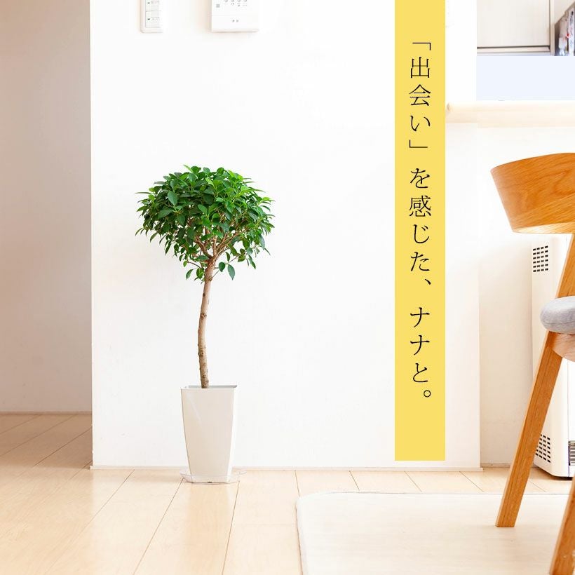 000000005597-01.jpg?size=l&w=