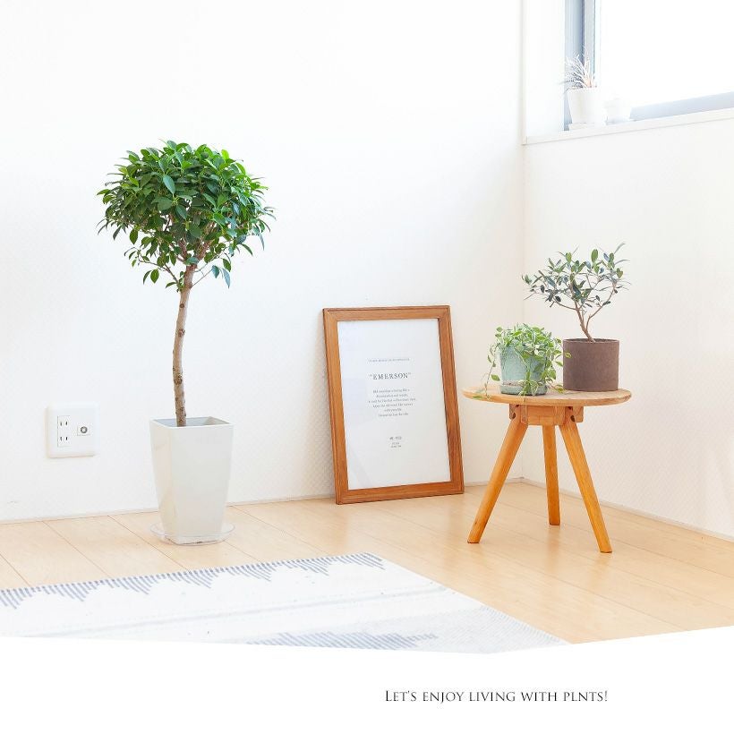 000000005597-06.jpg?size=l&w=