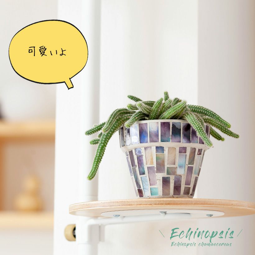 000000005776-01.jpg?size=l&w=