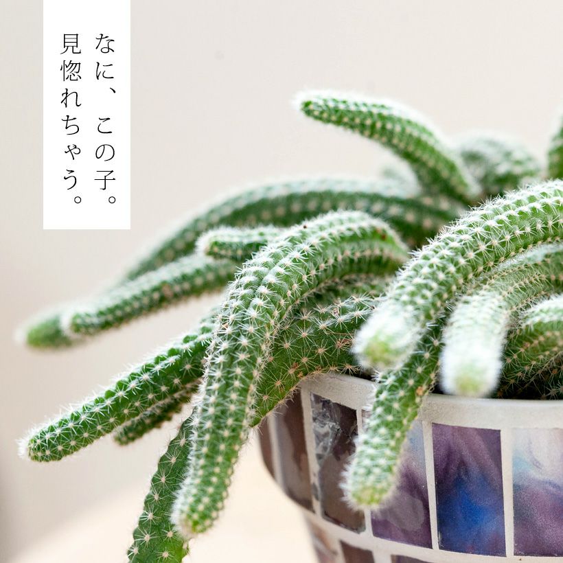 000000005776-02.jpg?size=l&w=