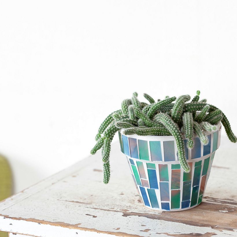 000000005776-04.jpg?size=l&w=