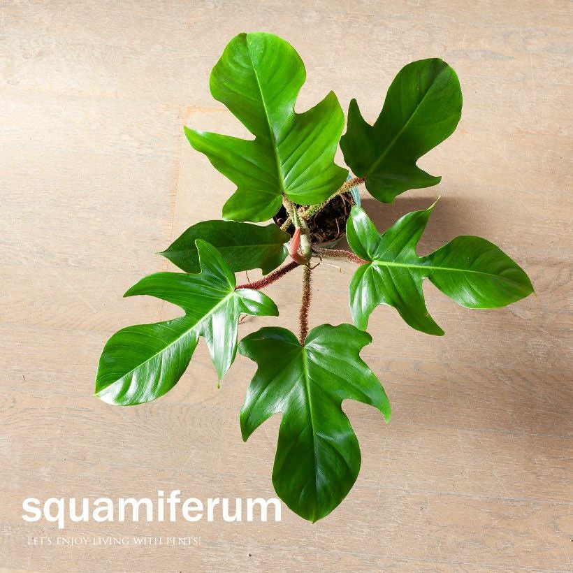 000000005847-09.jpg?size=l&w=