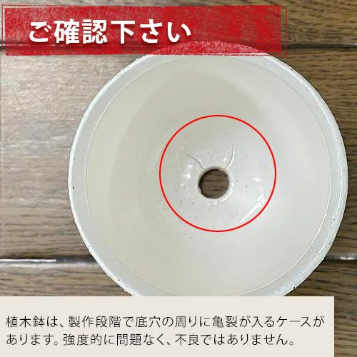 楕円形の縦長陶器鉢｜2号~2.5号サイズの植物向け｜e-花屋さん