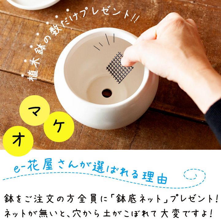 陶器製楕円形鉢 茶色 2穴 中国宜興　43cm×35cm×9cm 楕円形の縦長陶器鉢｜2号~2.5号サイズの植物向け｜e-花屋さん