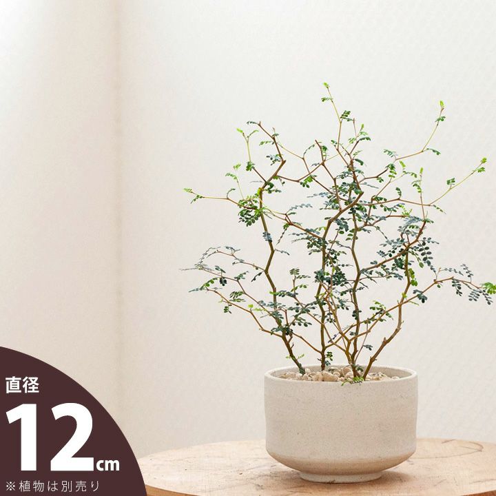 000000006235-01.jpg?size=l&w=