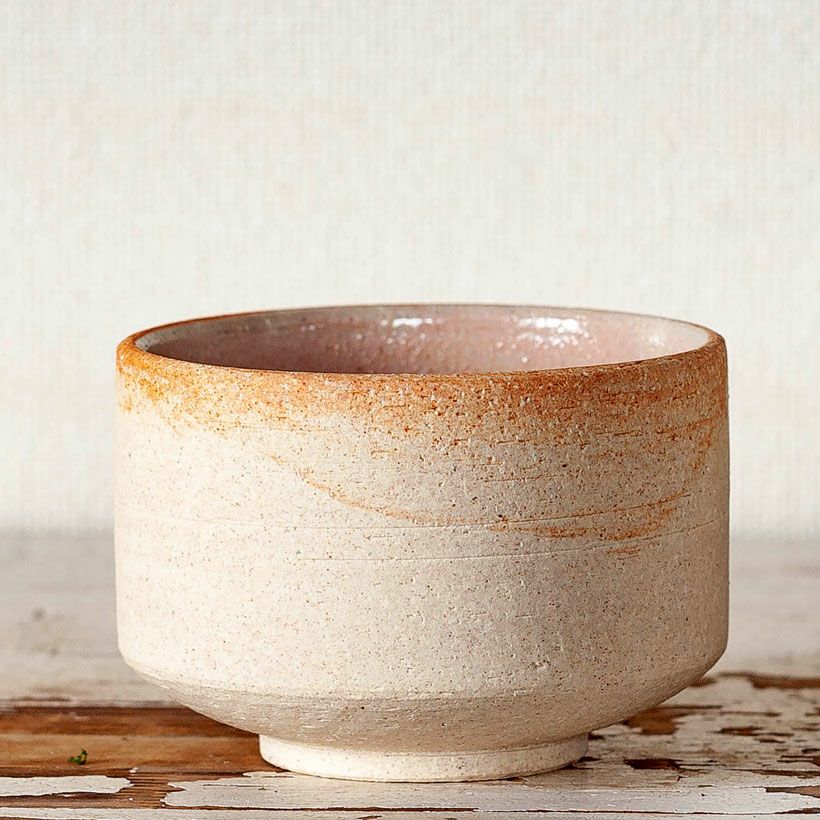 国産・お椀みたいな浅型陶器鉢 | [公式]e-花屋さん