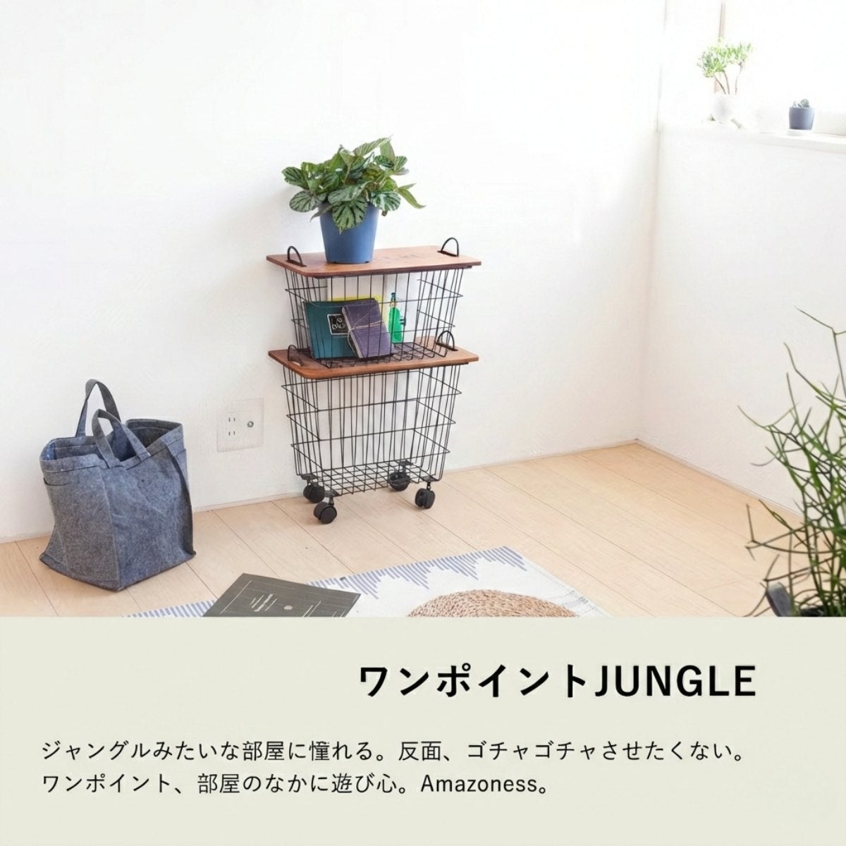 ベゴニア・シルバージュエルを花台の上に