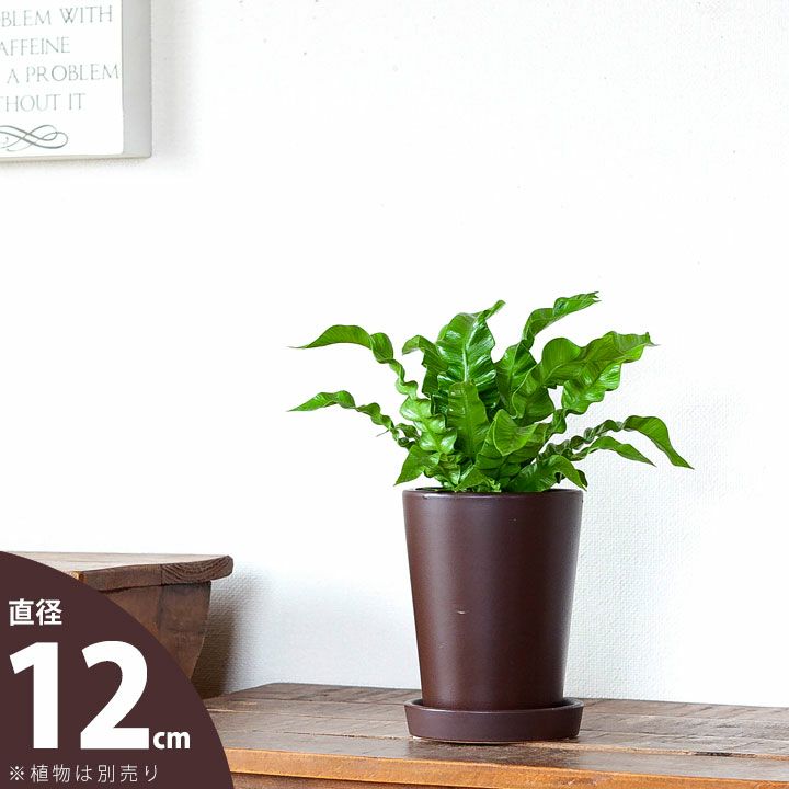 縦長（円柱）陶器鉢ブラウン｜SALE価格e-花屋さん