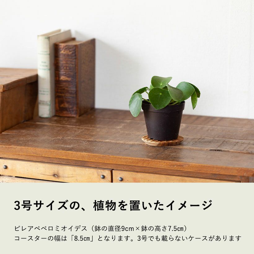 水受け皿の代用に！四角のおしゃれ木製コースター｜鉢植え植物に