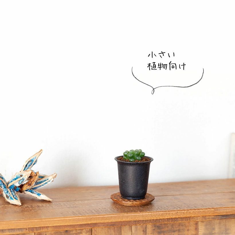 水受け皿の代用に！四角のおしゃれ木製コースター｜鉢植え植物に