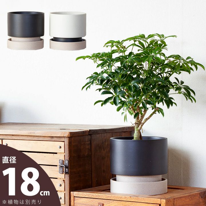 おしゃれ植木鉢：ツートンカラーのデザイン陶器鉢（6号）